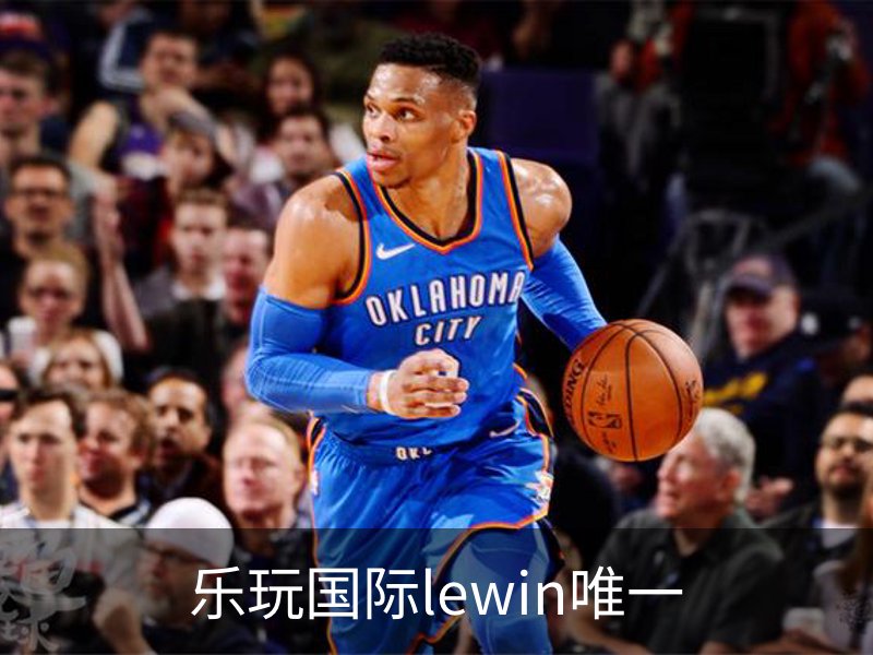 乐玩国际lewin唯一概况